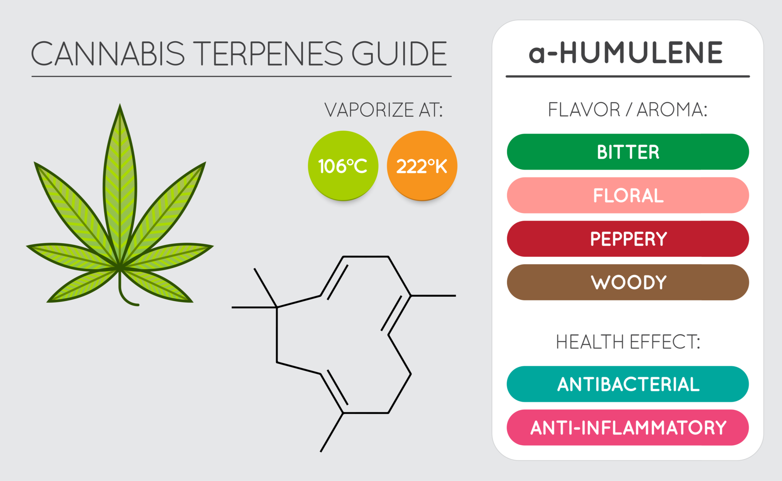 CannaGlobe Terpenes Humulene