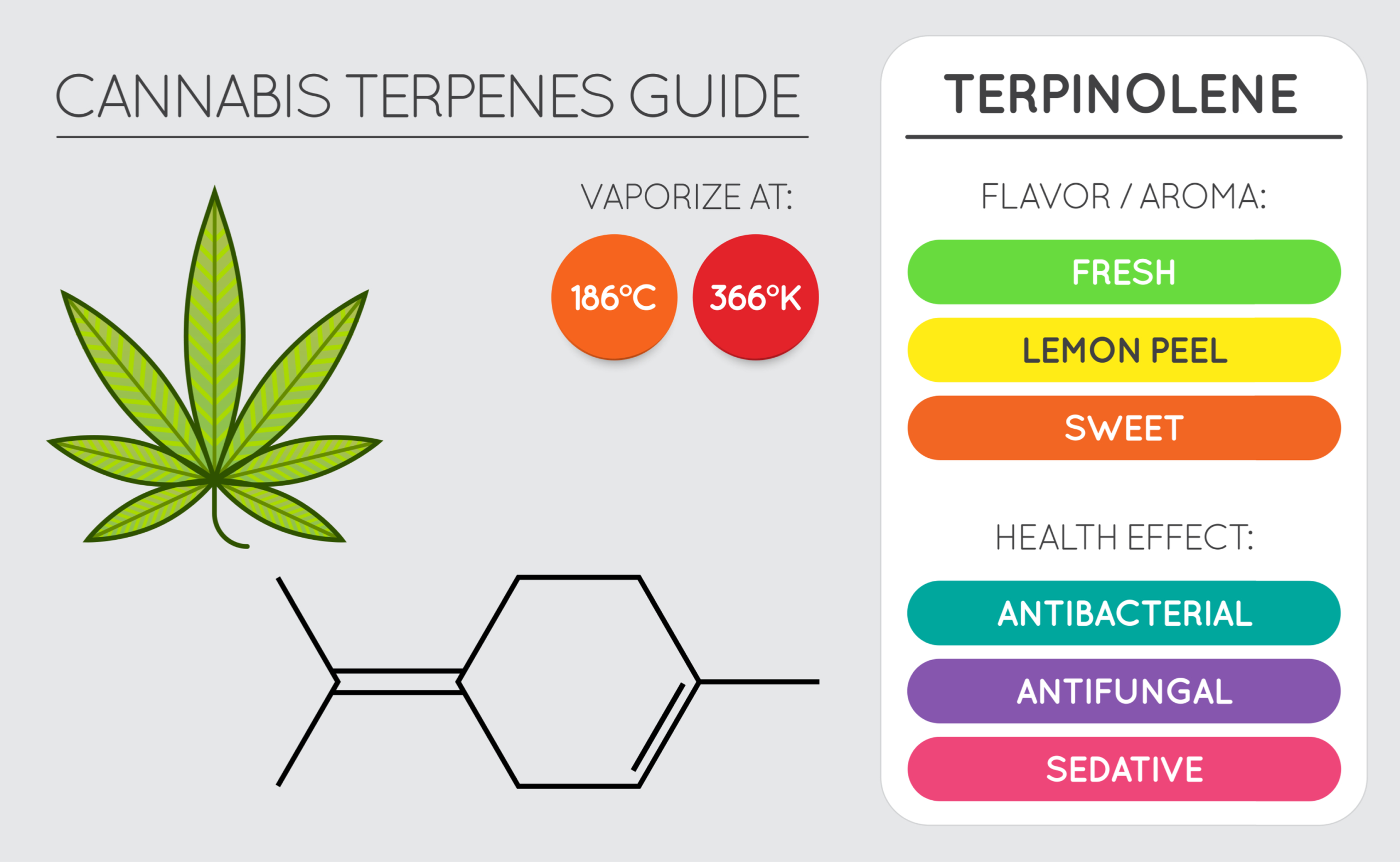 CannaGlobe Terpenes Terpinolene