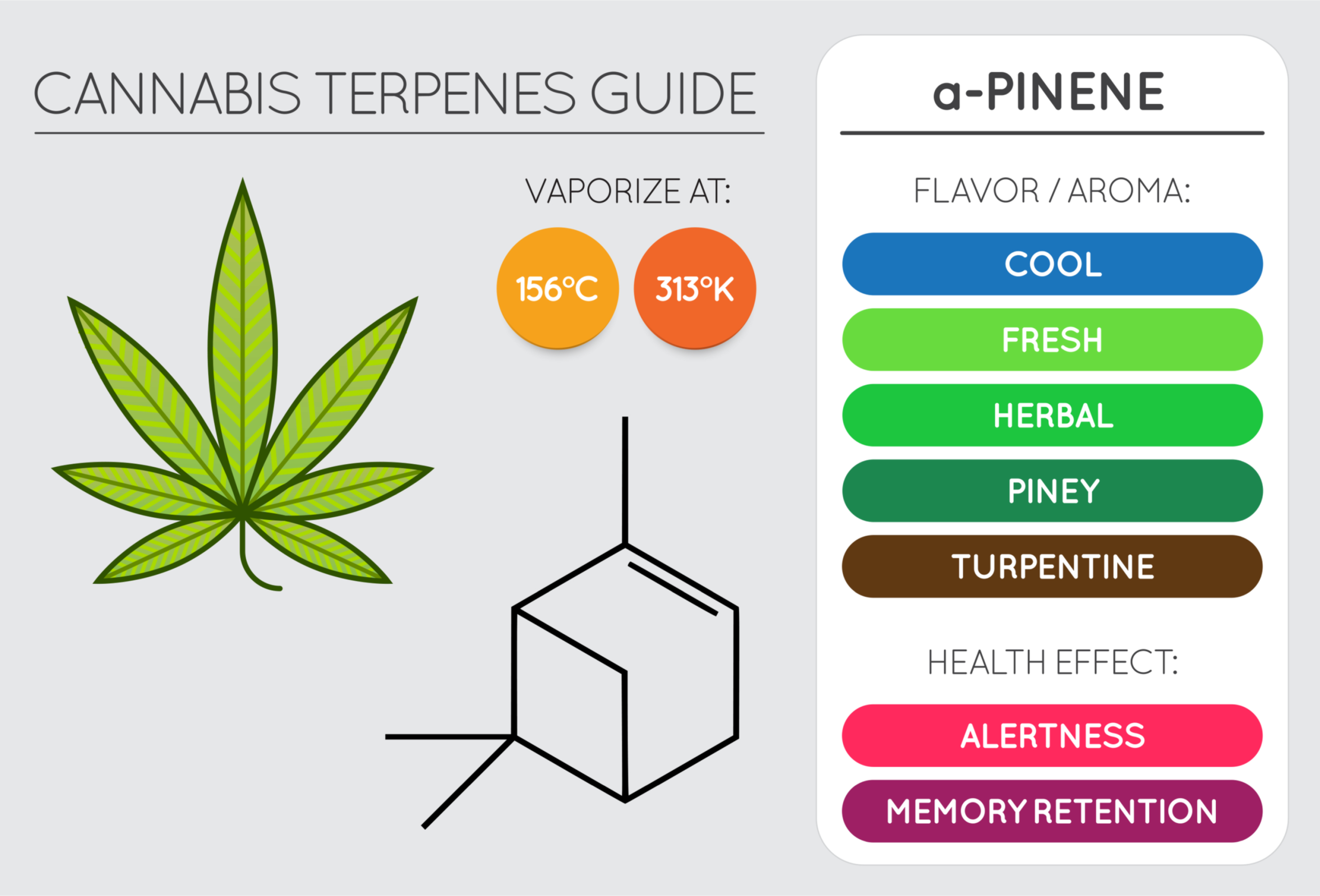 CannaGlobe Terpenes a-pinene