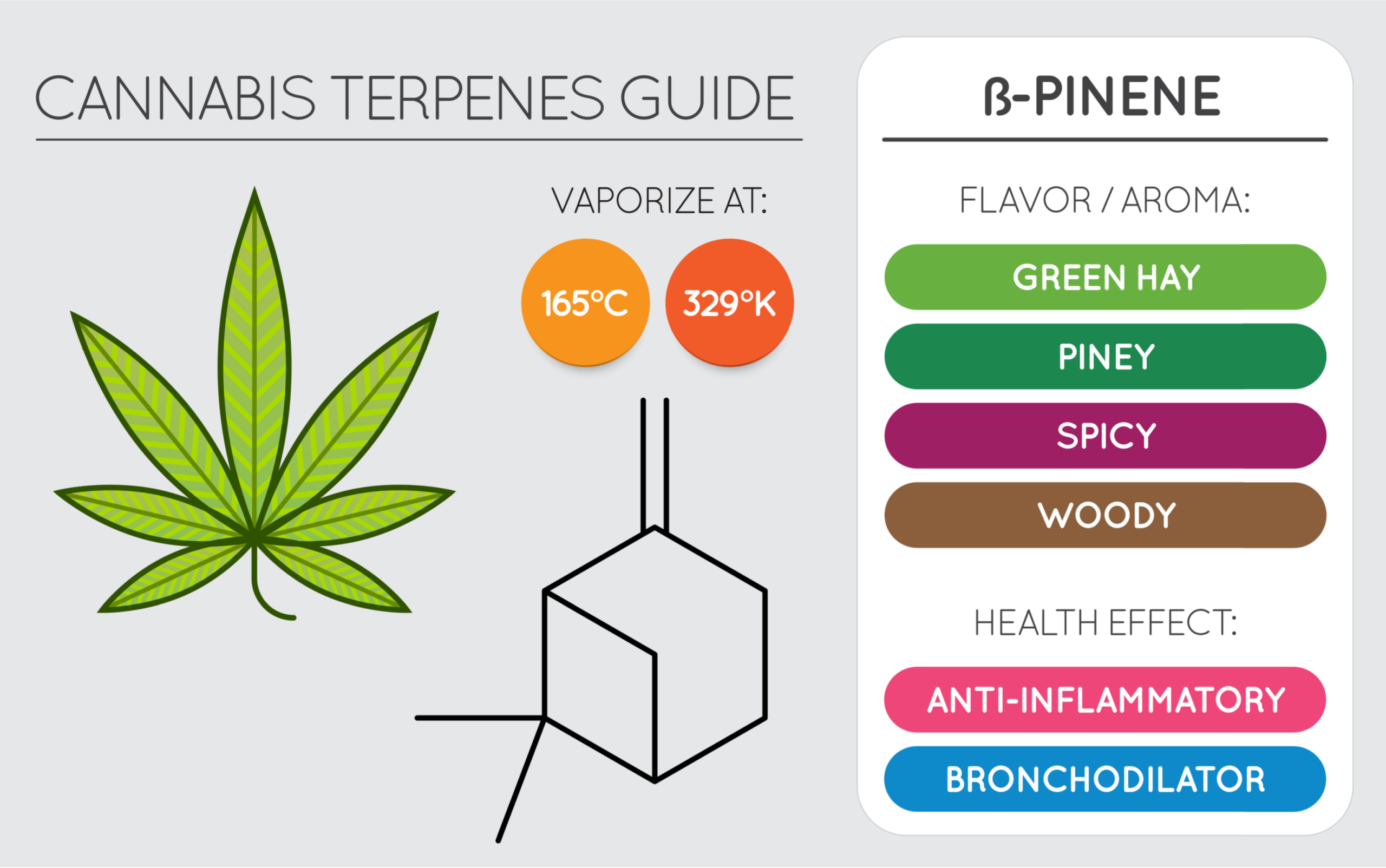 CannaGlobe Terpenes b-pinene