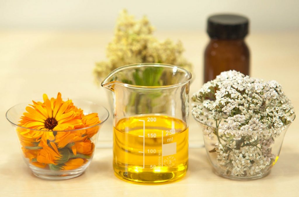 CannaGlobe Key Cannabis Terpenes Phellandrene CannaGlobe Key Cannabis Terpenes Phellandrene