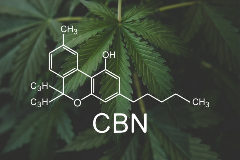 Cannabinol CBN Cannabinoid