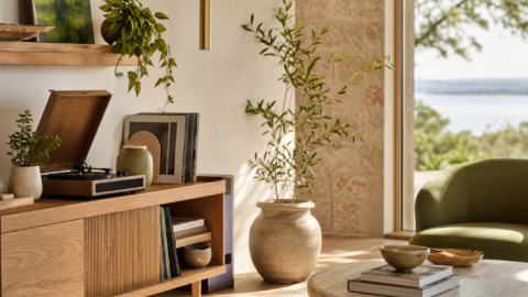 Record console, stacked records, plants, windows, natural postmodern furniture, and warm summer light.