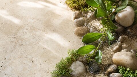 Clear water, smooth stones, moss, and healthy green leaves arranged as a calm natural ecosystem.