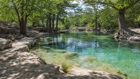 Spring-fed water beneath cypress shade and limestone ledges at a quiet Texas Hill Country swimming place.